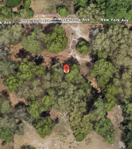 Aerial satellite view of wooded area near New York Ave with a red location pin marker among dense trees